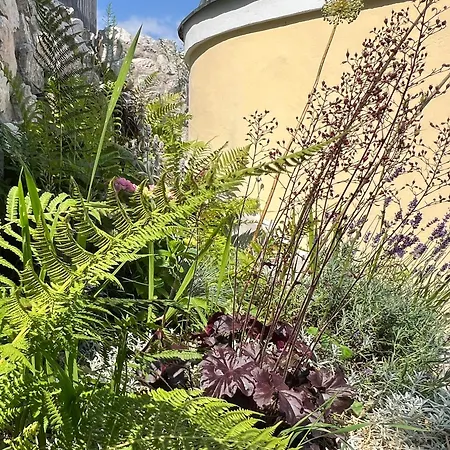Bachperle - Alpenidyll Mit Kamin, Balkon Oder Terrasse Fuer Geniesser Апартаменты *